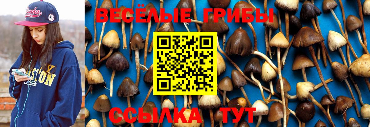 Белгород  Галлюциногенные грибы прущие грибы  Вход с VPN 